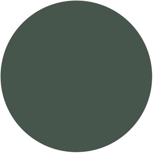 Coque Onyx Magnétique Ringke pour iPhone 17 Antidérapant Étui Souple — Dark Green